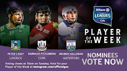 GAA.ie Hurler of the Week nominees